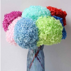 Colorful Forever Lasting Hydrangea With Branches