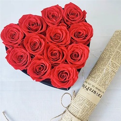 Venus Style Preserved Roses In Box